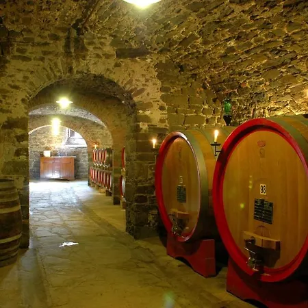 Casa di campagna Fattoria Castelvecchi *
