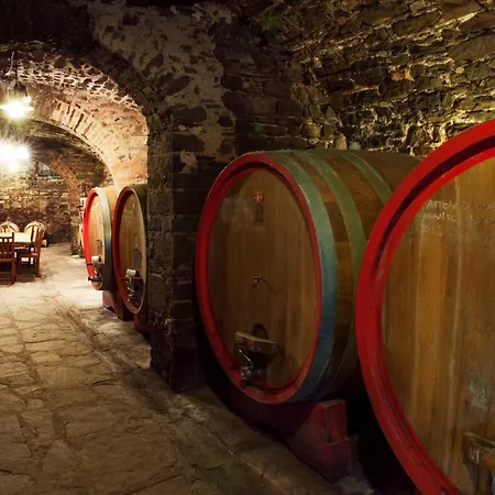Fattoria Castelvecchi Country house Radda in Chianti